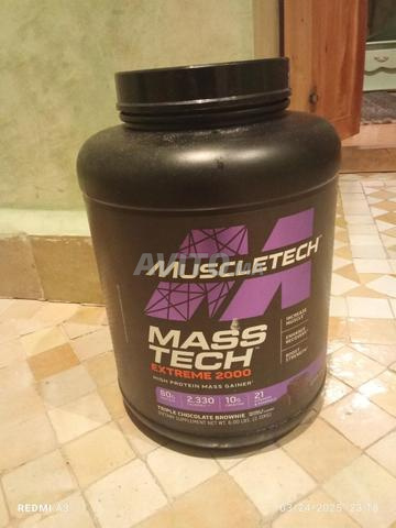 muscle gainer 