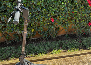 Trottinette électrique Ninebot F2e