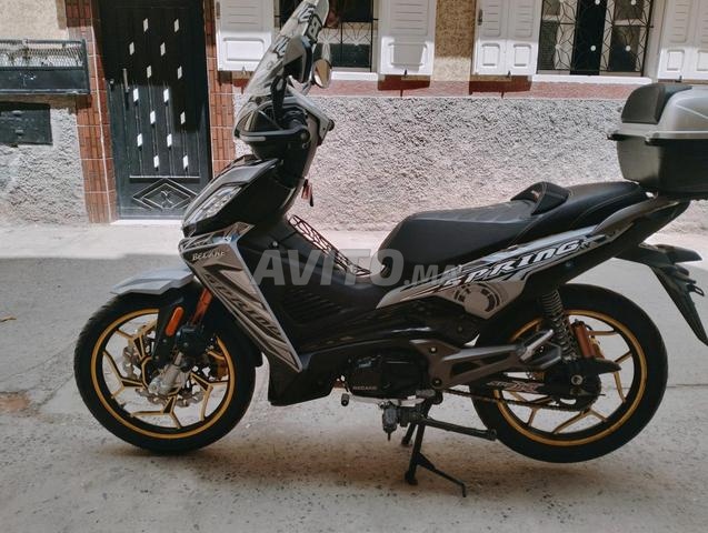 bikane saprnik x 49 cc libgha marhbaa 9anoniya 