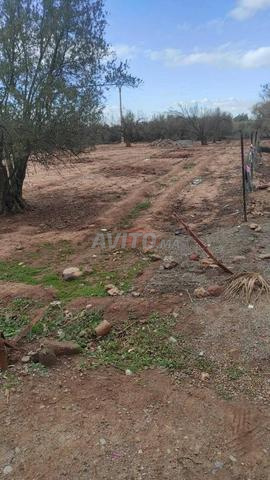 Vente Terrain nu de 700 m2 à Marrakech - 2