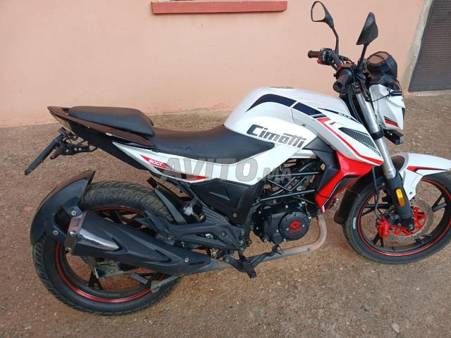 CIMATTI 50 Gt Tres bon etat - 2