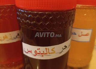 عسل حر الكالبتوس