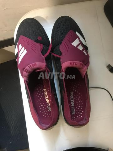 Crampons adidas predator belligham 