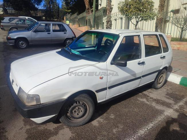 fiat Uno 