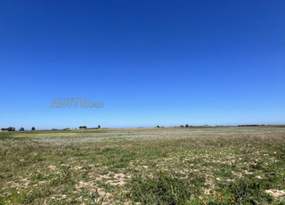 هكتار مخصص لبناء فيلا أو مزرعة