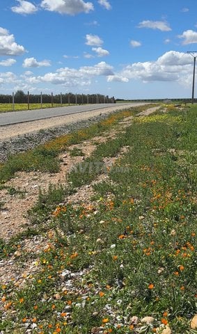 Terrain de 9000m² titré et autorisé à construire à 7km de la ville