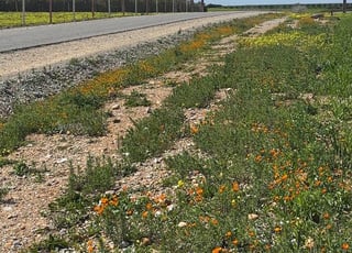 Terrain de 9000 mètres, titré et autorisé pour construire à 7 km de la ville