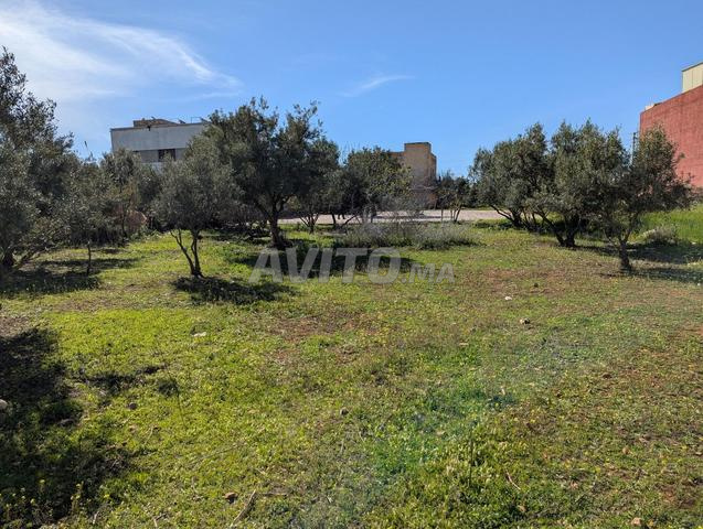 ارض 2400 متر على الطريق داخل المدينة