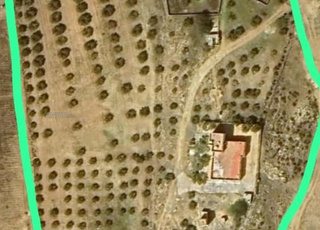 Belle propriété avec maison et oliviers  