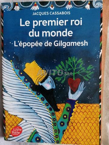 Livre de poche jeunesse 10-12 ans 