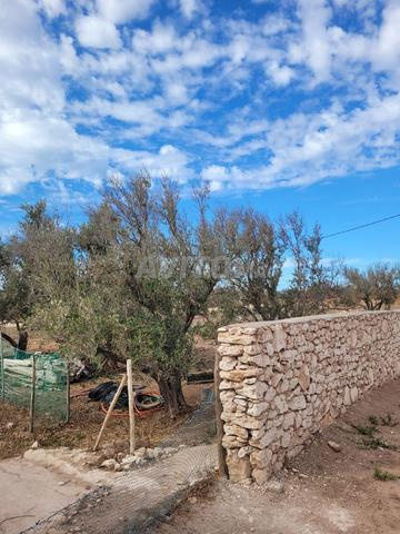 terrain de 6580m² a 13km d'essaouira avec plan 