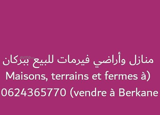 Maisons, terrains et fermes à vendre à Berkane