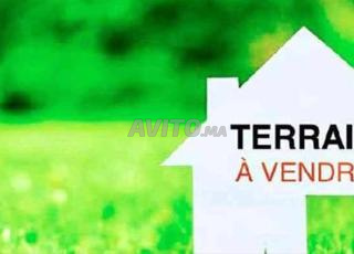 terrain zone villa chouka