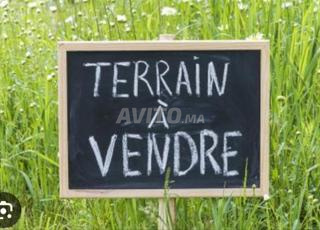 terrain zone villa chouka 372m carrée 