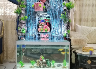 aquarium cascade