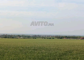 Hectare 1 Sidi Rahal