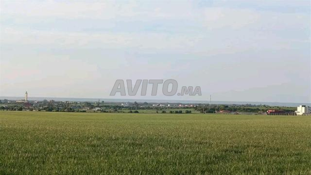 هكتار 1 سيدي رحال