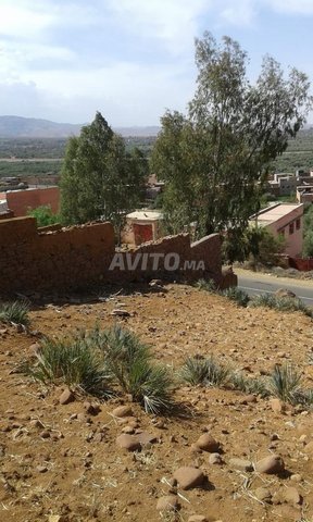 بقعة أرضية معدة للبناء بدوار الخميس بجماعة أوريكة 