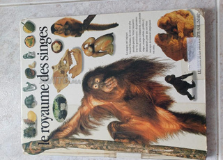 Livre junior sciences et découvertes