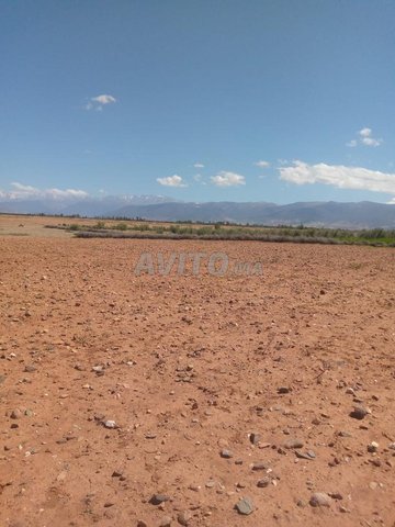 Terrain agricol à vendre أرض فلاحية للبيع