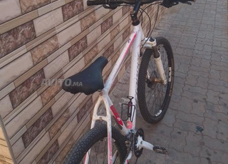 picalat vtt scrapper