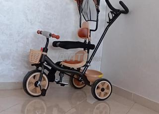 الضحى العوامة