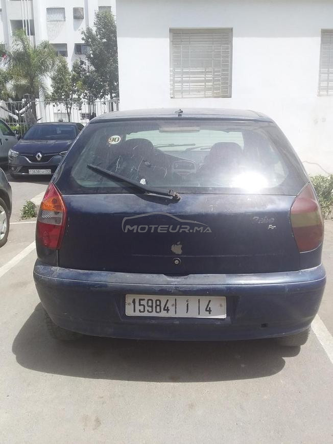 palio 