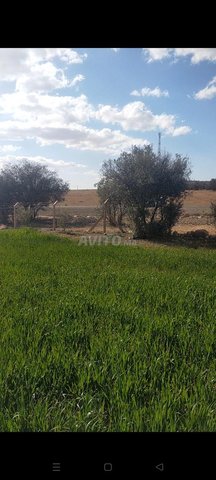    فيرمة 2 هكتار مجهزة على الطريق الوطنية