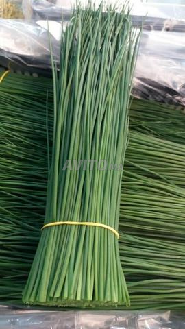 Herbes aromatiques en gros 