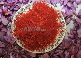  safran زعفران تالوين 