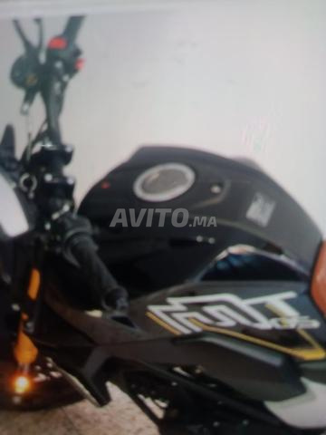 vente moto cimati mt05 - 2