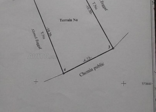 أرض للبيع طنجة بالية هرارش 