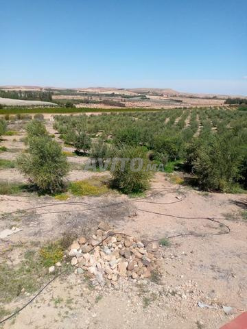 مزرعة للبيع Ferme à vendre