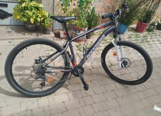 RockRider جديدة