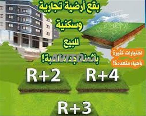 بقع تيتر للبيع من 136م الى 600م بالبيضاء 