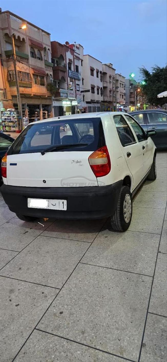 fiat palio  