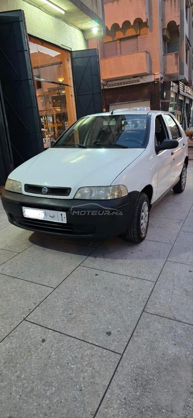 fiat palio  