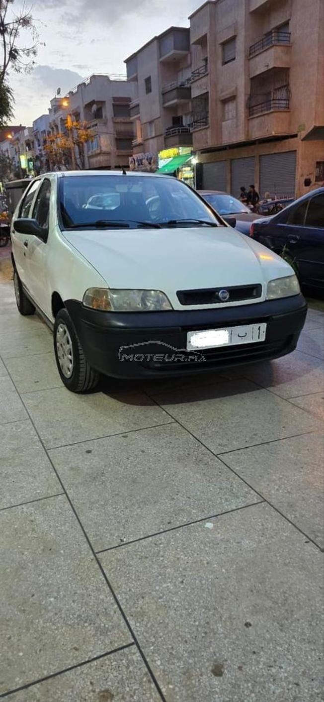 fiat palio  