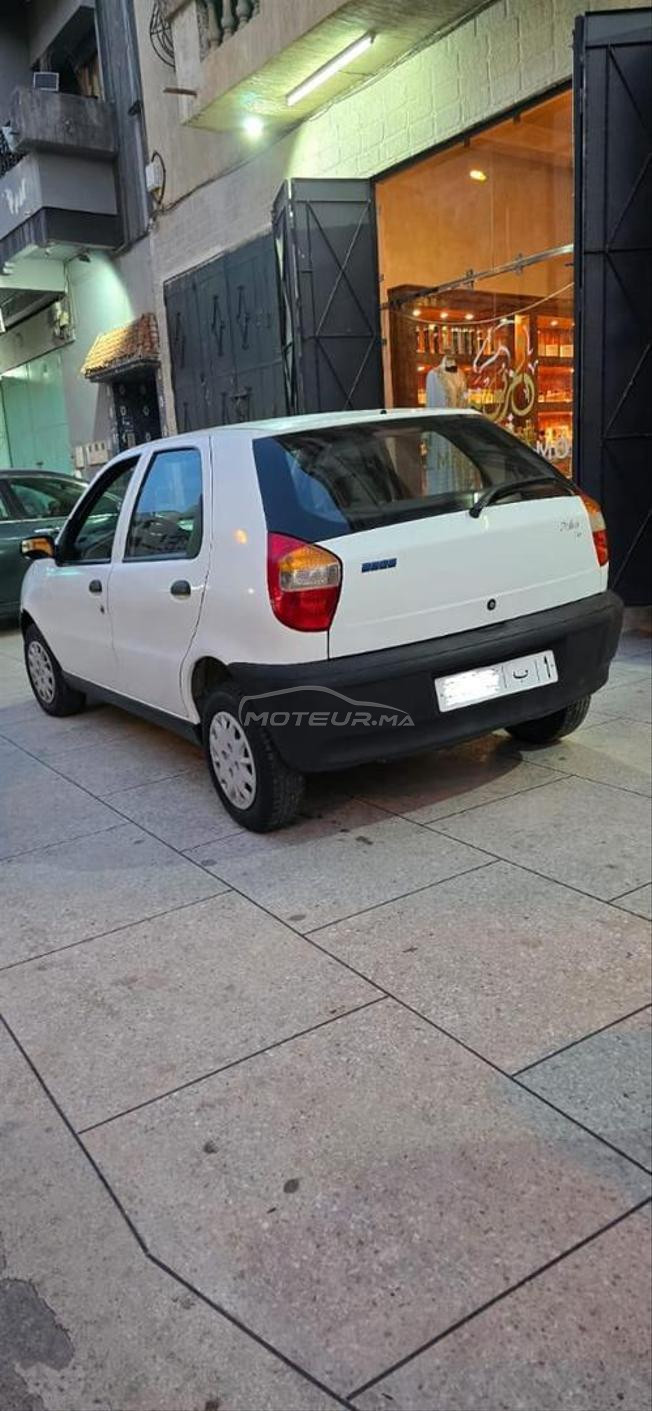 fiat palio  