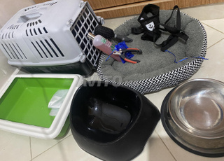 مكناس مرجان 2