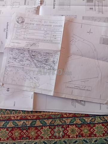 terrain a vendre a quize minute de bab dokala