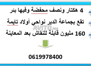 TERRAIN POUR AGRICOLE REGION OULED TEIMA