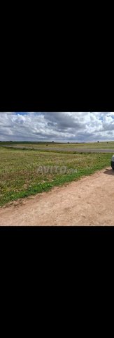 Terrain à vendre dans la région de Oulad Frej