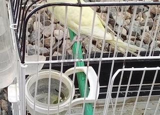 مدينة ميدلت