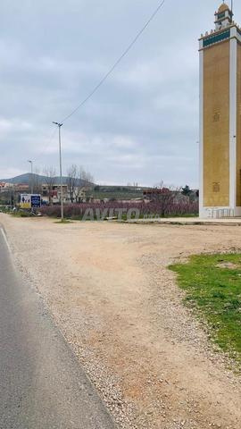 Terrain titré 1 hectare et demi RN8 vers Ifran