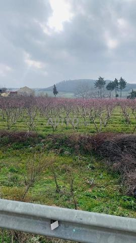 Terrain titré 1 hectare et demi RN8 vers Ifran - 2