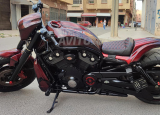 Harley night rod special