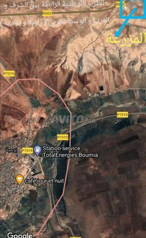 مزرعة 22 هكتار محفظة على الطريق بومية و زايدة 