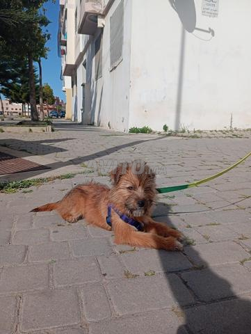 الجديدة 6/4/2025