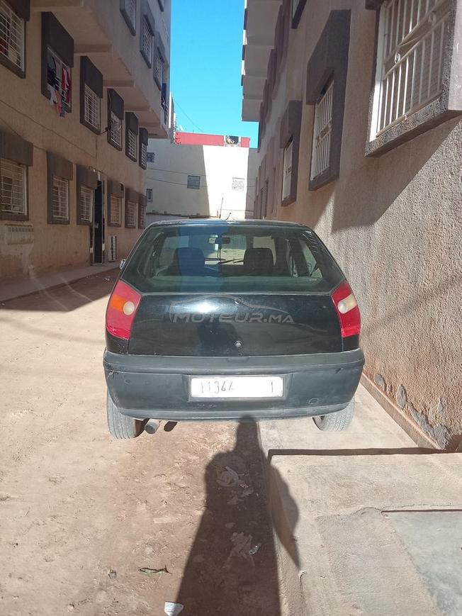 palio 